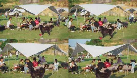 4k露营基地野餐素材高清在线视频素材下载