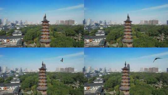 常州市红梅公园与天宁禅寺高清在线视频素材下载