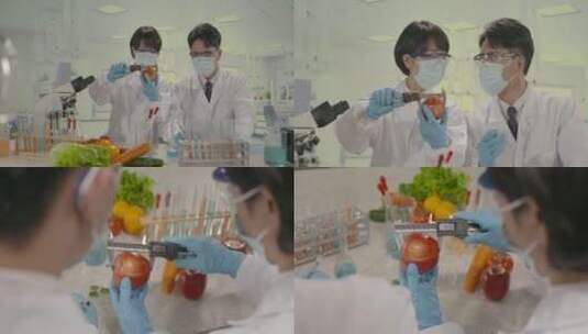 实验室教授做实验水果苹果蔬菜质检人员农业高清在线视频素材下载