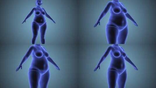 女人减肥动态变瘦3D动画展示高清在线视频素材下载