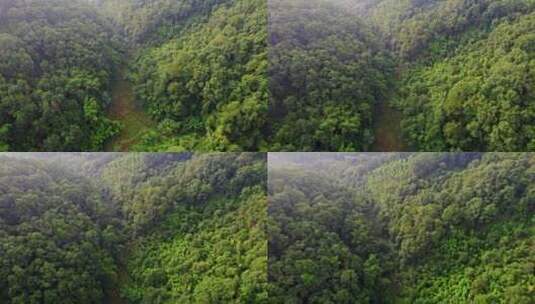 原始森林大山航拍深山天然氧吧热带雨林高清在线视频素材下载