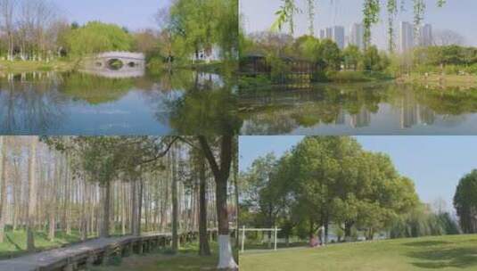 4K武汉汉阳琴台月湖公园春季风光高清在线视频素材下载