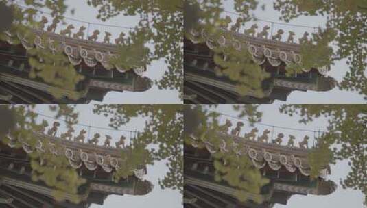 秋天空镜 皇城秋天 北京秋天高清在线视频素材下载