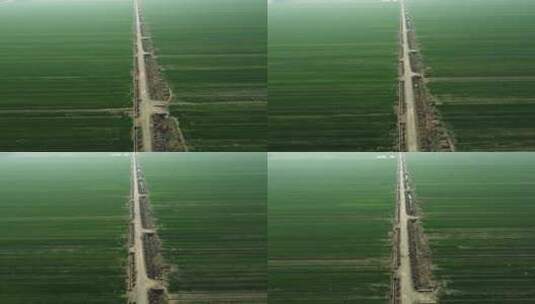 航拍小麦幼苗麦田的灌溉水系渠高清在线视频素材下载