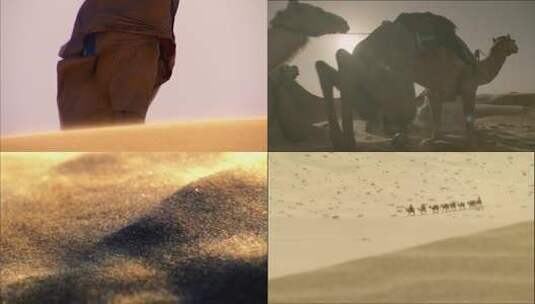 沙漠骆驼行进丝绸之路素材高清在线视频素材下载
