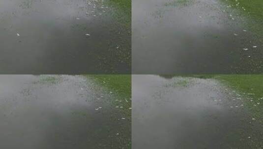 青山绿水一群白鹭飞翔空镜福建泰宁大金湖高清在线视频素材下载