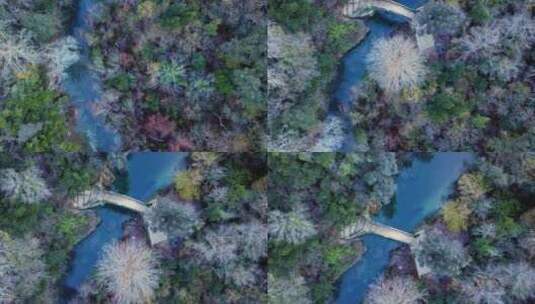 森林河流和一座桥高清在线视频素材下载
