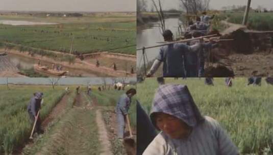 70年代农业高清在线视频素材下载