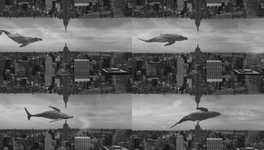 鲸鱼梦游城市高清在线视频素材下载
