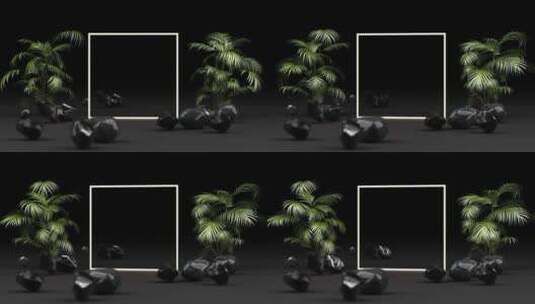 植物和黑色背景方框的高清在线视频素材下载