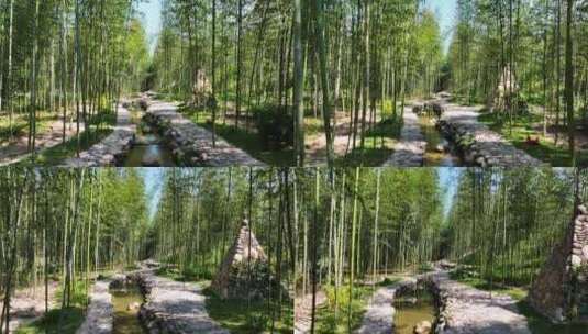 竹林航拍实视频背景素材意境唯美溪流太阳光高清在线视频素材下载