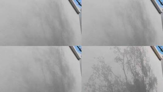 江苏苏州平江路墙壁上变幻的树影高清在线视频素材下载