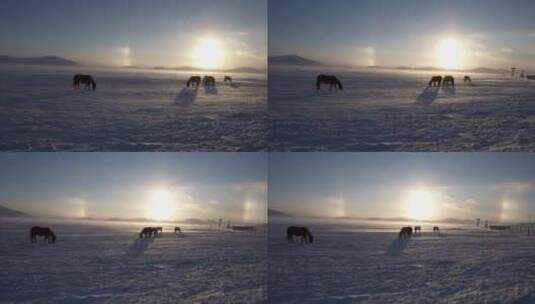 极寒天气下风吹动雪花高清在线视频素材下载