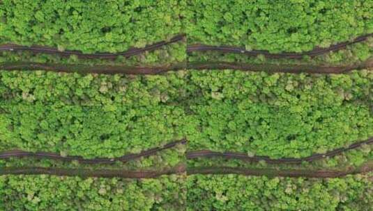 航拍汽车行驶中绿色的森林高清在线视频素材下载