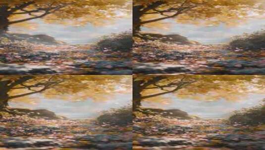唯美秋天黄色落叶空镜高清在线视频素材下载