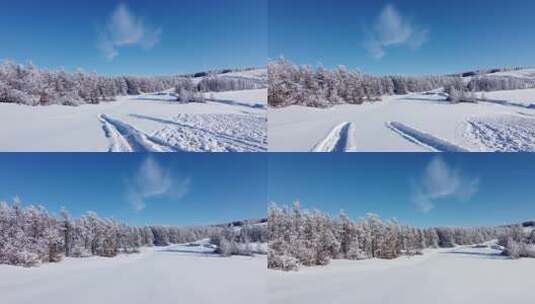 雪后树林与开阔雪地的冬日美景高清在线视频素材下载