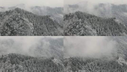 冬天森林雪景高清在线视频素材下载
