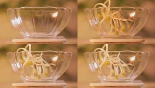 玻璃碗厨房秤称豆芽重量高清在线视频素材下载