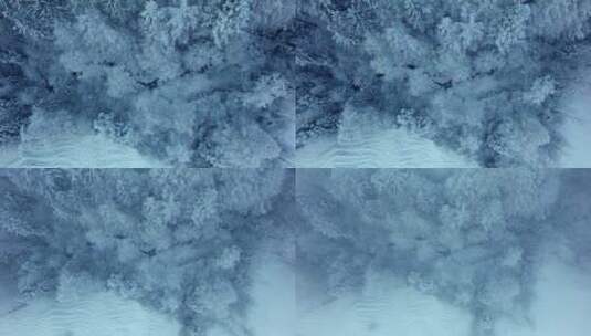 圣诞节冬季被雪覆盖的森林高清在线视频素材下载