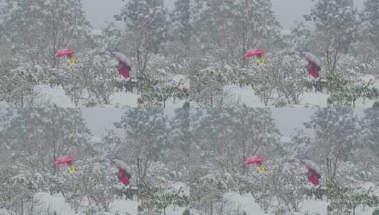 摇镜跟随，雪山中撑伞漫步的游客行人高清在线视频素材下载