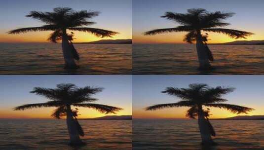 太阳前面的棕榈树高清在线视频素材下载
