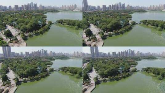 航拍湖北武汉月湖沙湖东湖风景区高清在线视频素材下载
