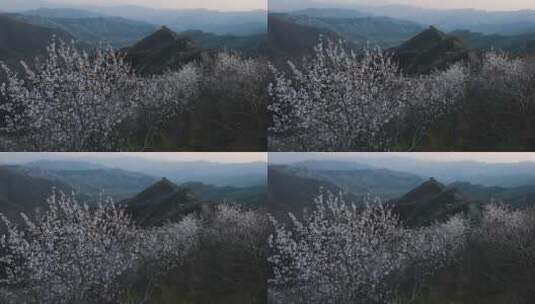 北京响水湖长城春季风光8k视频高清在线视频素材下载