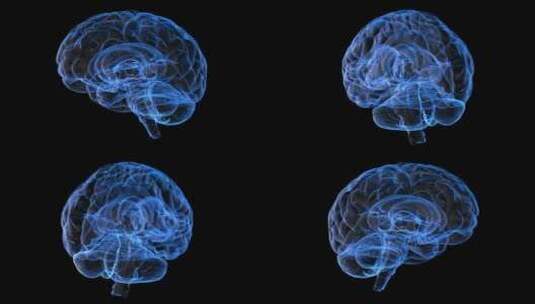 人类大脑数字高清在线视频素材下载