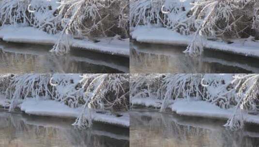 东北冬天冰冻的枯草，河流高清在线视频素材下载