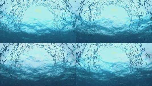 三维沙丁鱼鱼群合成水底动画 (1)高清在线视频素材下载