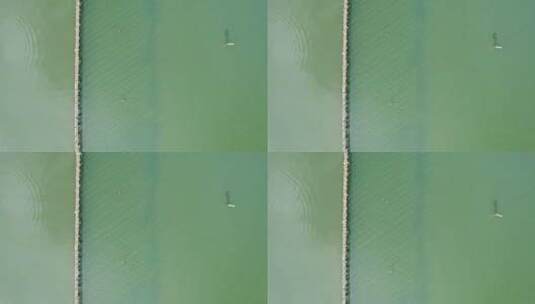 养鱼塘中的围网竹排高清在线视频素材下载