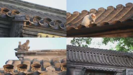 老北京胡同四合院猫建筑历史文化高清在线视频素材下载
