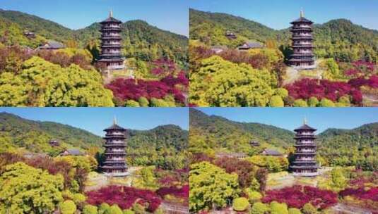 治愈系风景，愿您喜欢！治愈风景，大自然高清在线视频素材下载