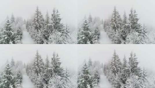 在冰冻的白色森林里下雪高清在线视频素材下载