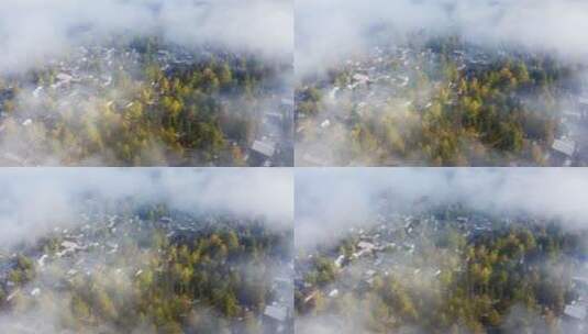 云雾中的银杏村落高清在线视频素材下载