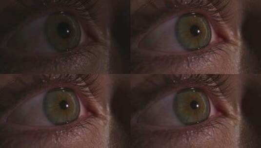 绿色瞳孔的眼睛特写镜头高清在线视频素材下载