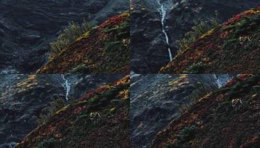 雨崩神瀑高山植被高清在线视频素材下载