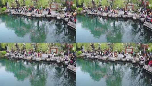 济南五龙潭公园游客投喂锦鲤鱼类互动视频高清在线视频素材下载