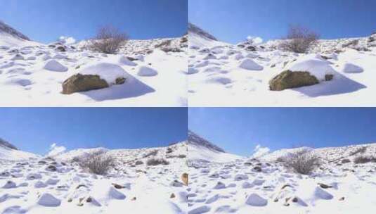 雪后美景高清在线视频素材下载