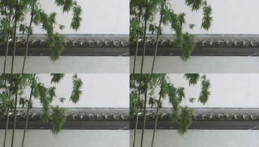 传统中式园林内的竹子高清在线视频素材下载