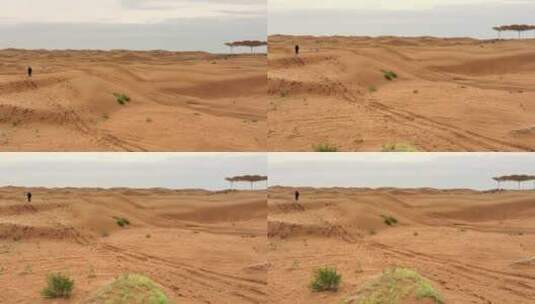 沙漠探寻从库布其开始高清在线视频素材下载