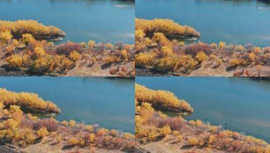 额尔古纳湿地景观高清在线视频素材下载