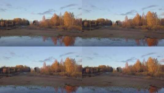 多莉变焦对树木反射的彩色秋季日落池塘上空低空拍摄的影响高清在线视频素材下载