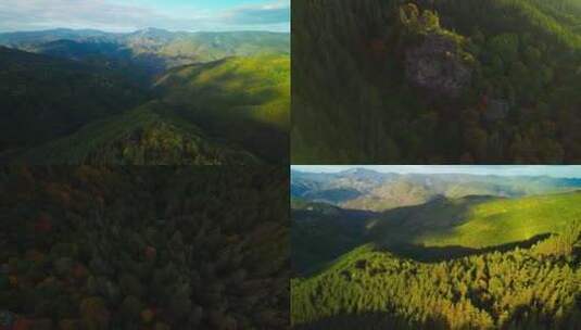 航拍山脉绿色森林天然氧吧山峰山脊山顶碳汇高清在线视频素材下载