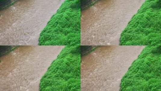 河流夏季洪水强降雨地质灾害山洪咆哮抗洪高清在线视频素材下载