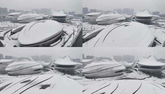 长沙梅溪湖国际文化艺术中心雪景高清在线视频素材下载