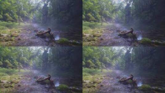 绿色森林晨雾中的清澈溪流张家界金鞭溪高清在线视频素材下载