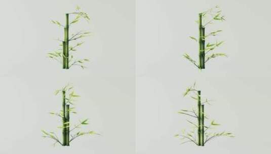 循环绿色天然竹植物背景高清在线视频素材下载