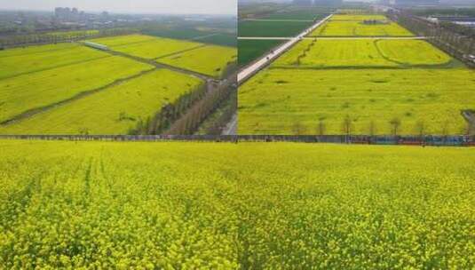 兰陵旅游景点 临沂兰陵 山东高清在线视频素材下载