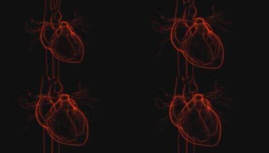 心脏跳动VR全息心脑血管AR模型_4K高清在线视频素材下载
